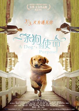 日韩成人在线资源
