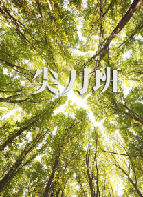 久久亚洲伊人中字综合精品