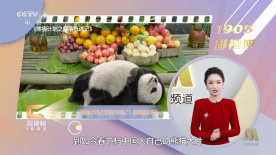 欧美va电影