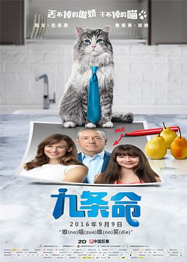 中出丝袜