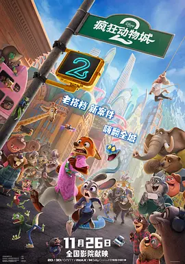 小猫视频大全搞笑可爱