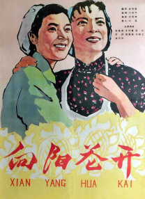 加勒比女海盗免费观看